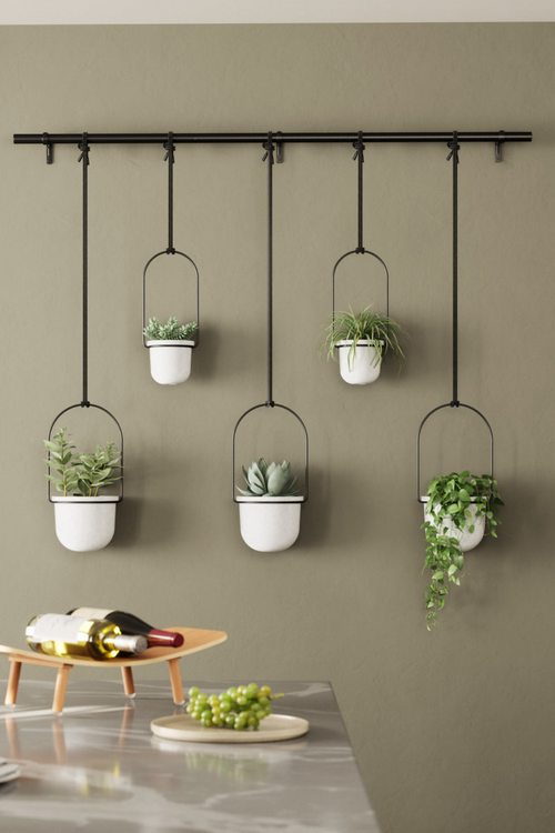 Triflora Hanging Planter