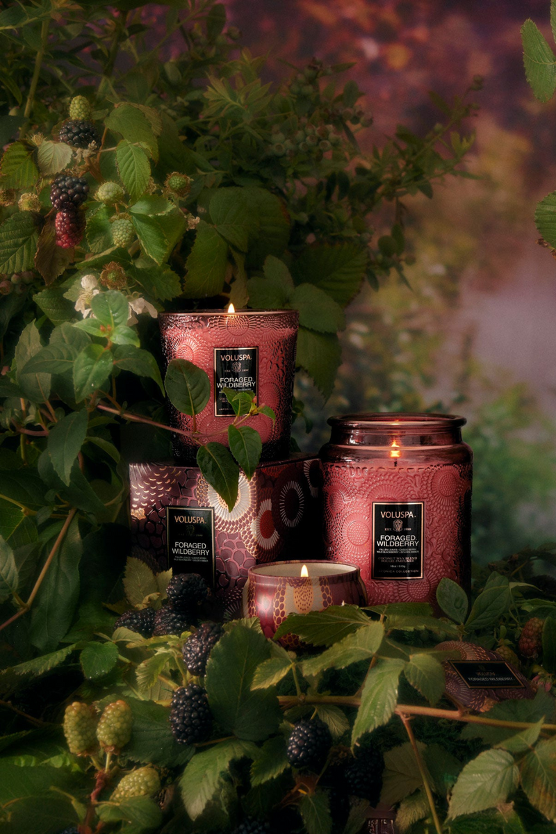 Voluspa-Foraged-Wildberry-Glass-Candle