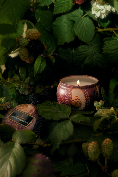 Foraged Wildberry Tin Candle