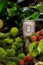 9 of 9:Panjore Lychee Glass Candle