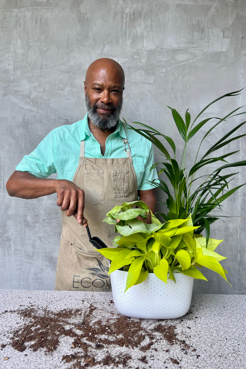 eco pot plant Custom Designed WallyGrow Wall Planter – ECOVIBE