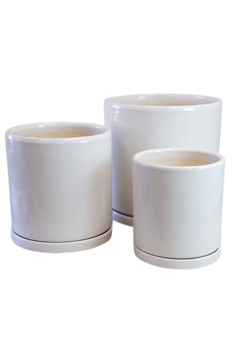 Washington-Pottery-Co-Matte-White-Cylinder-with-Saucer