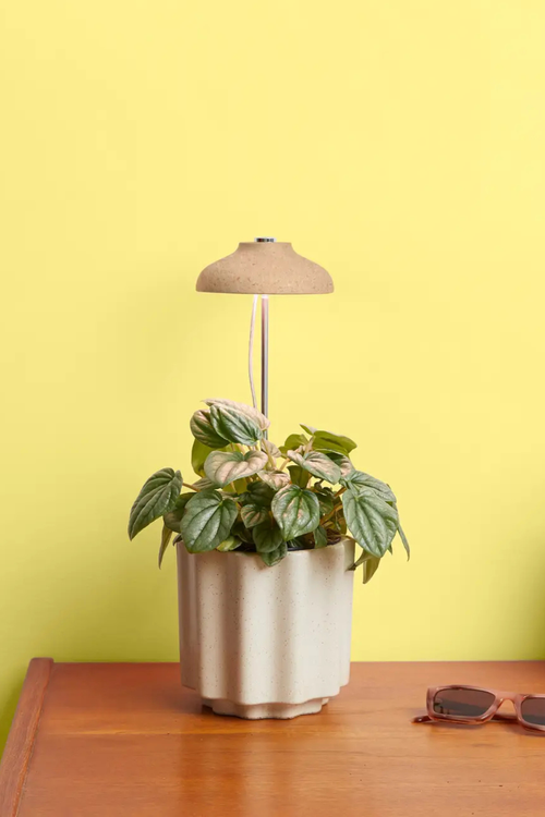 Instant Sun Extendable LED Grow Lamp