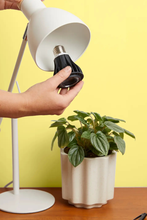 Instant Sun Led Grow Light Bulb