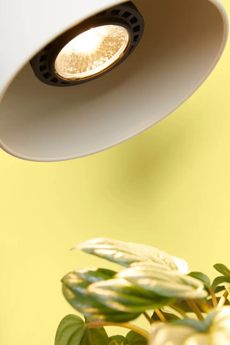 Instant Sun Led Grow Light Bulb – ECOVIBE