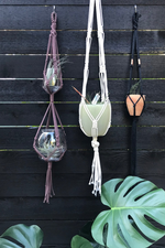 2 of 2:Daphne Macrame Double Plant Hanger