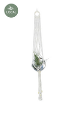 1 of 2:Fishnets Macrame Plant Hanger