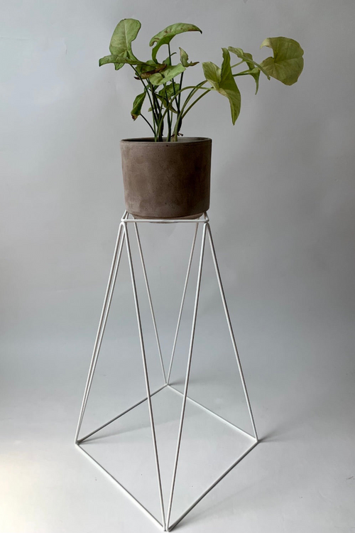 Tall Boy Metal Plant Stand