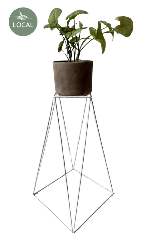 Tall Boy Metal Plant Stand