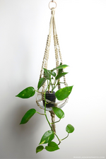 2 of 4:Vega Macrame Plant Hanger