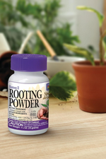 2 of 2:Rooting Powder