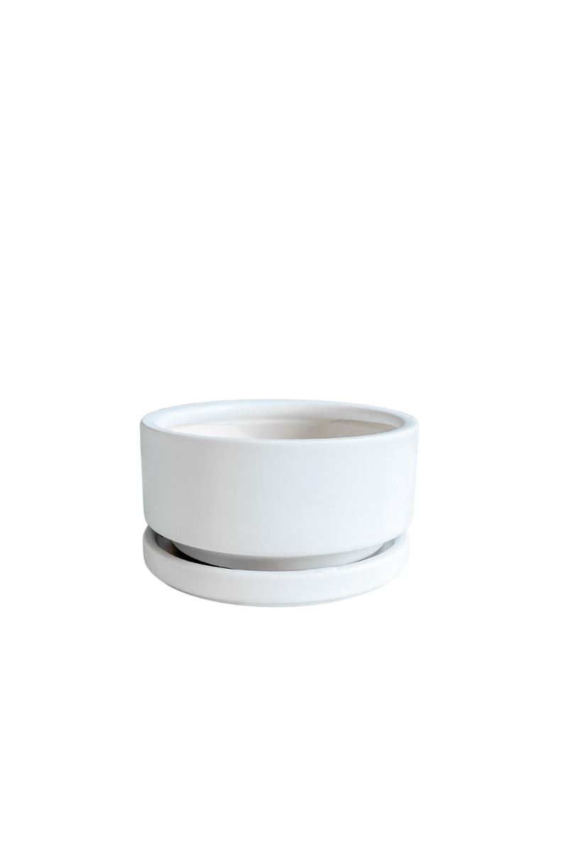 White Gemstone Low Bowl-Momma Pots-ECOVIBE