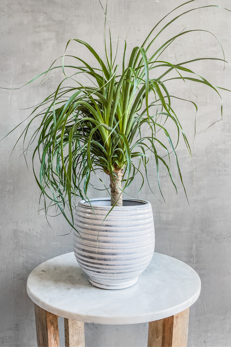 Creative Co-op Grey Striped Stoneware Planter