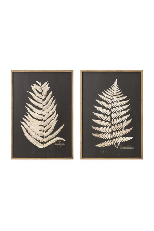 Laser Fern Wall Decor