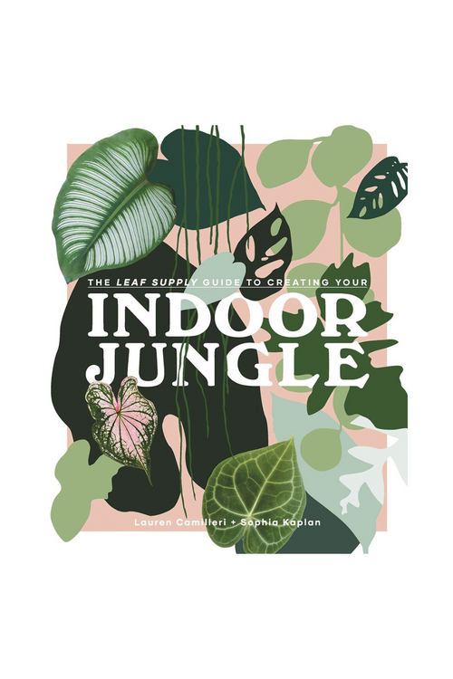 The Leaf Supply Guide to Creating Your Indoor Jungle By Lauren Camilleri and Sophia Kaplan