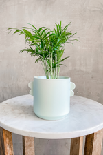 2 of 3:Jamye Pot in Mint