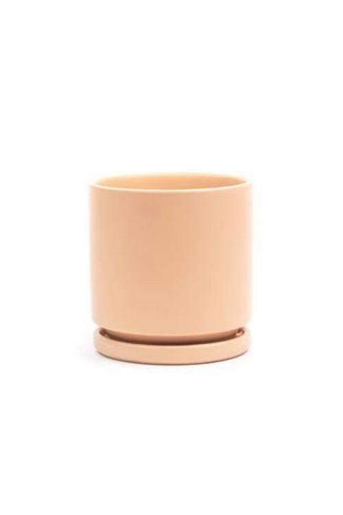 Momma Pots Gemstone Cylinder Pot in Blush