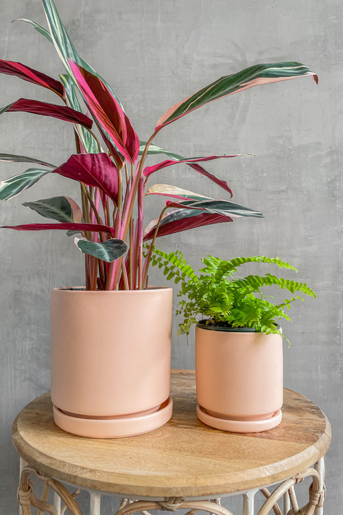 Momma_Pots_Gemstone_Ceramic_Planter_Blush_Pink