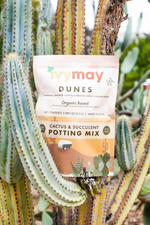 IvyMay Dunes Cactus + Succulent Potting Mix
