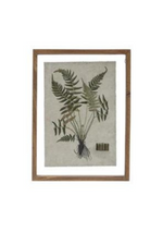 Creative Co-op Wood Framed Botanical Prints No.3
