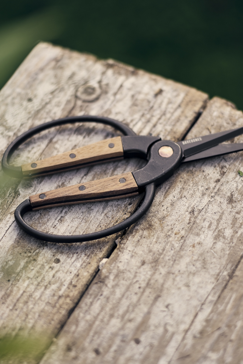 Walnut Garden Scissors