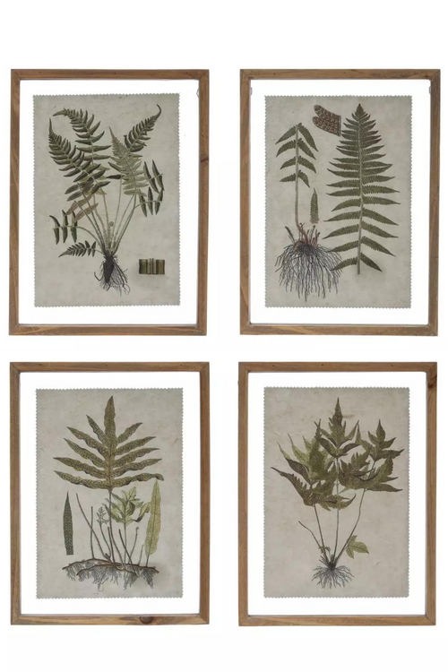 Creative Co-op Wood Framed Botanical Prints