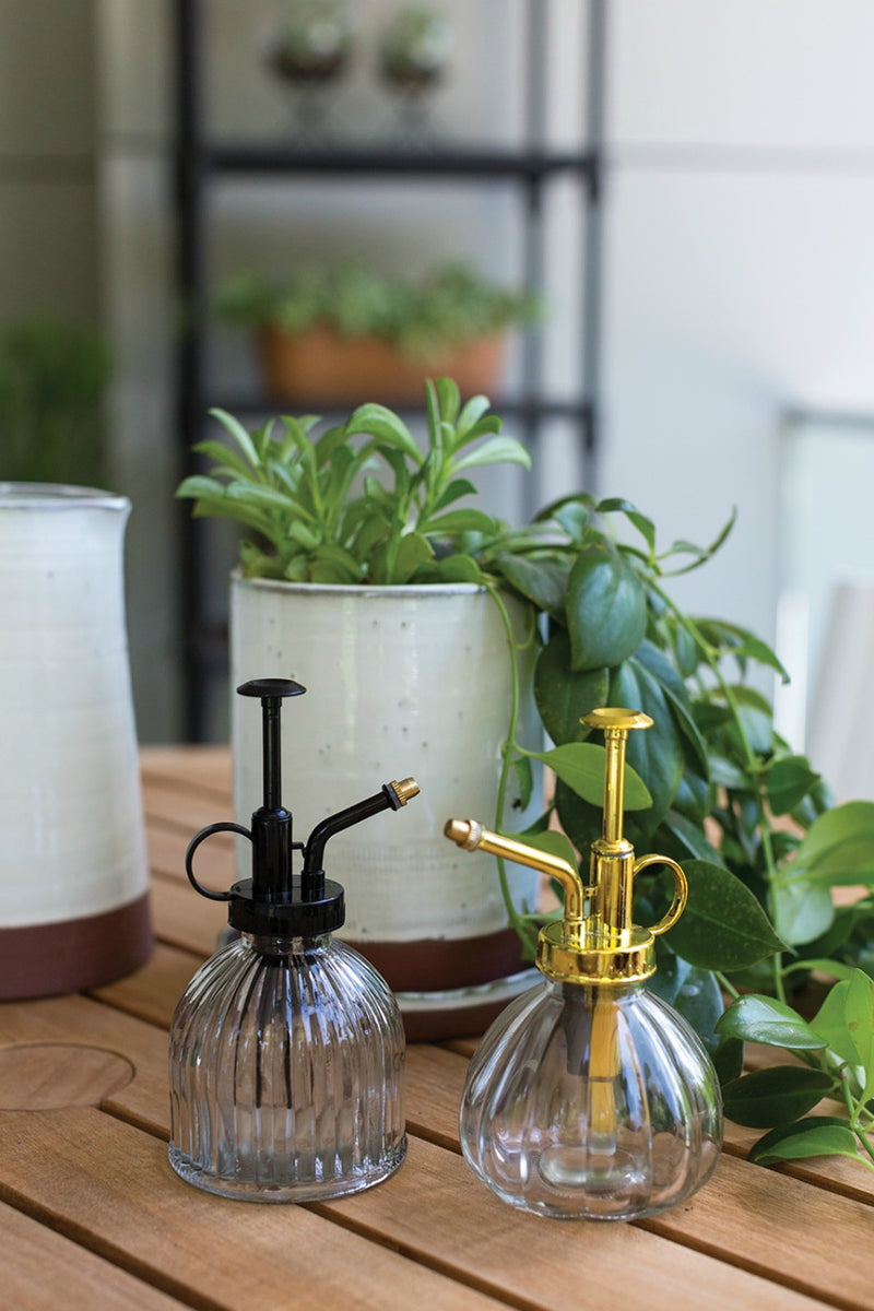house plant mister spray Carlise Glass Plant Mister – ECOVIBE