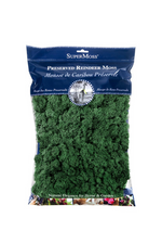 2 of 3:Reindeer Moss Preserved, Forest Green