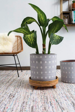 2 of 3:Rica Plant Stand