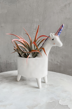 2 of 3:Lolly Unicorn Planter