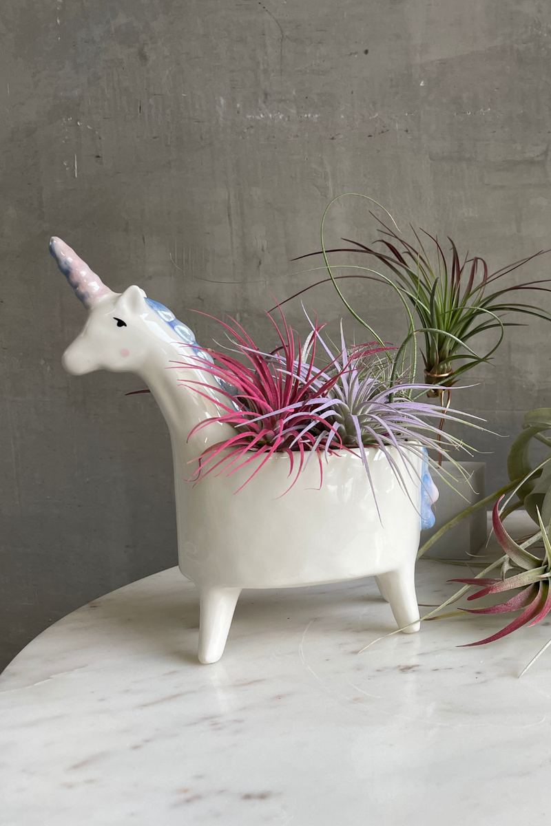 Accent Decor Lolly Unicorn Ceramic Planter