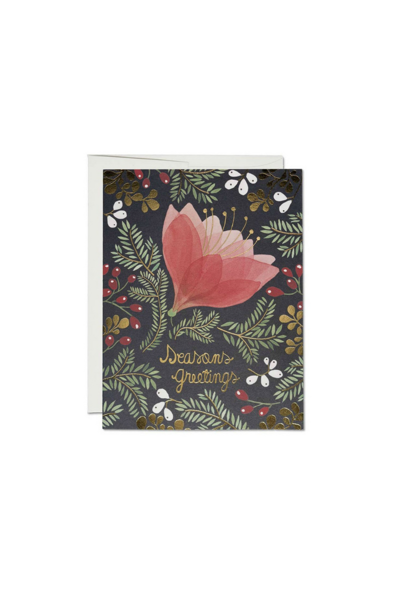Red Cap Cards Amaryllis Boxed Holiday Card Set