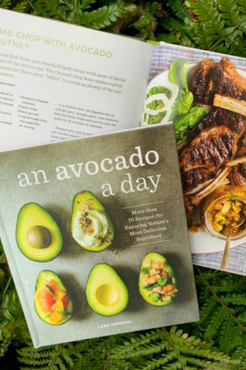 An Avocado A Day: More than 70 Recipes for Enjoying Nature's Most Delicious Superfood by Lara Ferroni