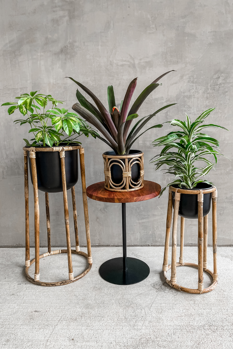 Accent Decor Pot and Plant Stands