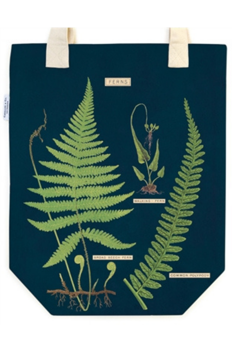 Cavalinni-Co-Ferns-Canvas-Tote-Bag