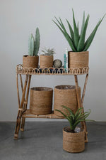 Creative-CoOp-Lined-Seagrass-Plant-Baskets 