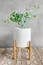 Creative-CoOp-White- Ceramic-Pot-Planter-Wood-Stand