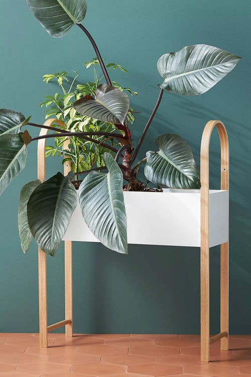 Bellwood Planter + Storage Shelf