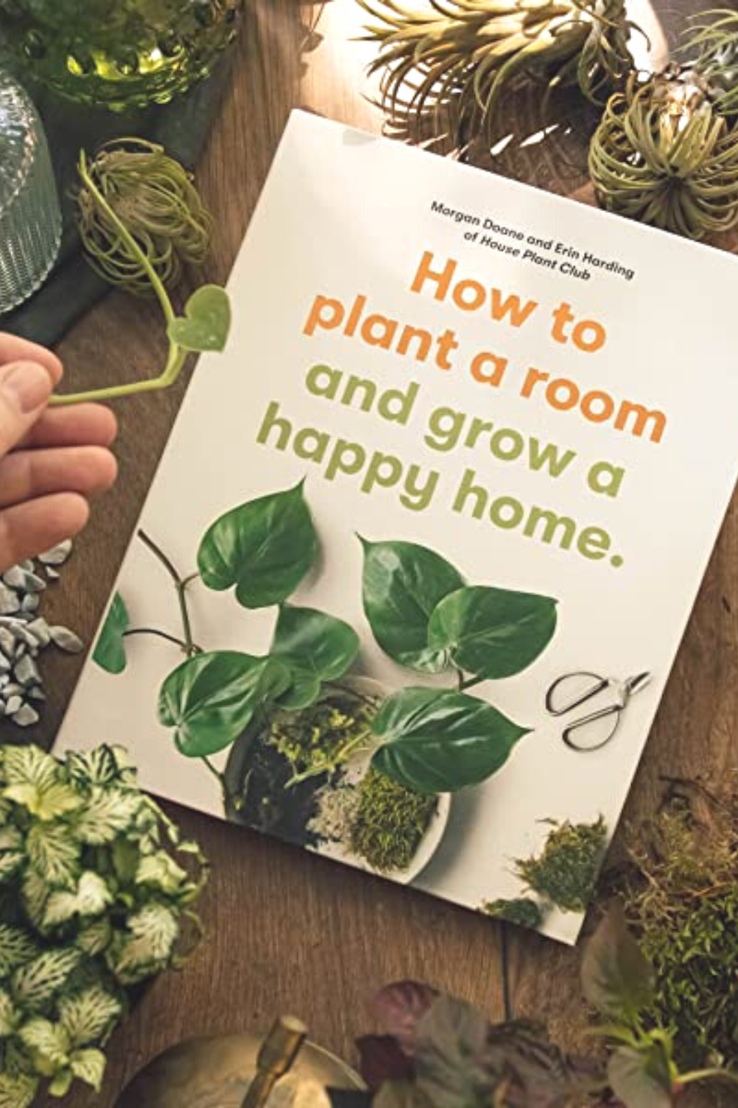 happy house plants book How to Plant a Room and Grow a Happy Home – ECOVIBE