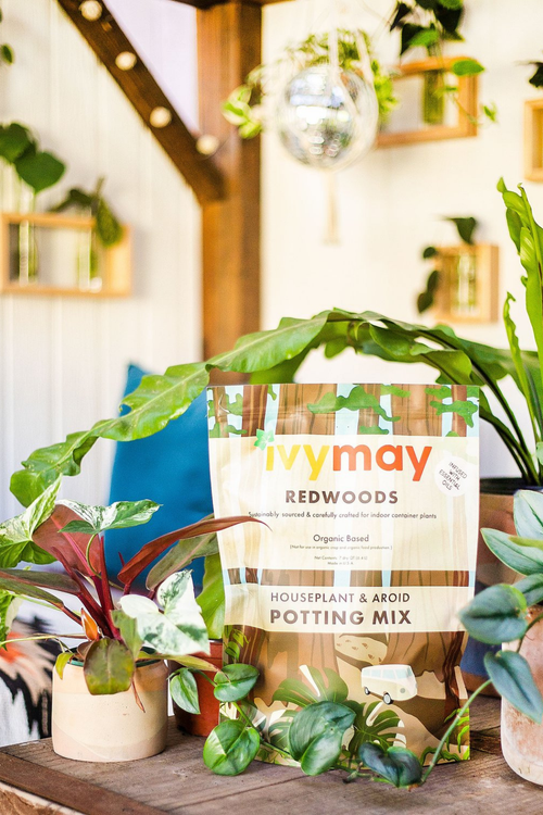 IvyMay Houseplant + Aroid Potting Mix