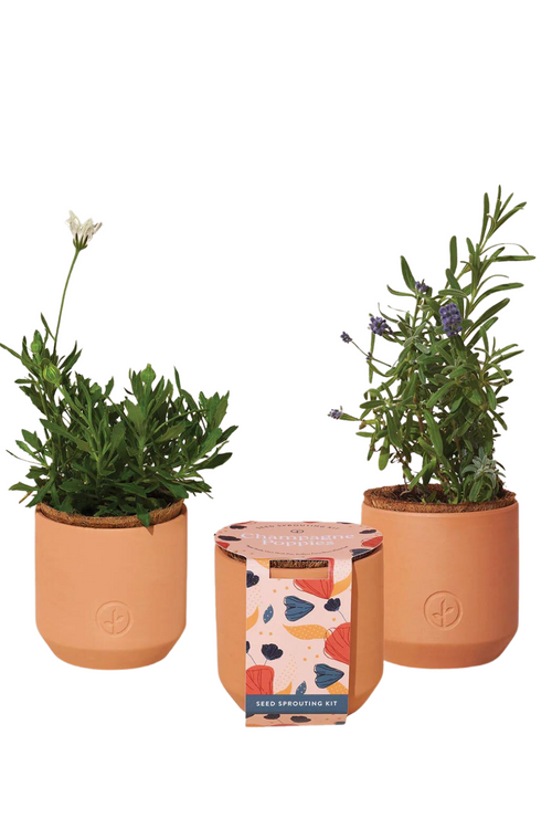 Modern-Sprout -Tiny-Terracotta-Seed-Grow-Kits