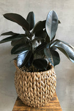 3 of 4:Round Handled Hyacinth Basket