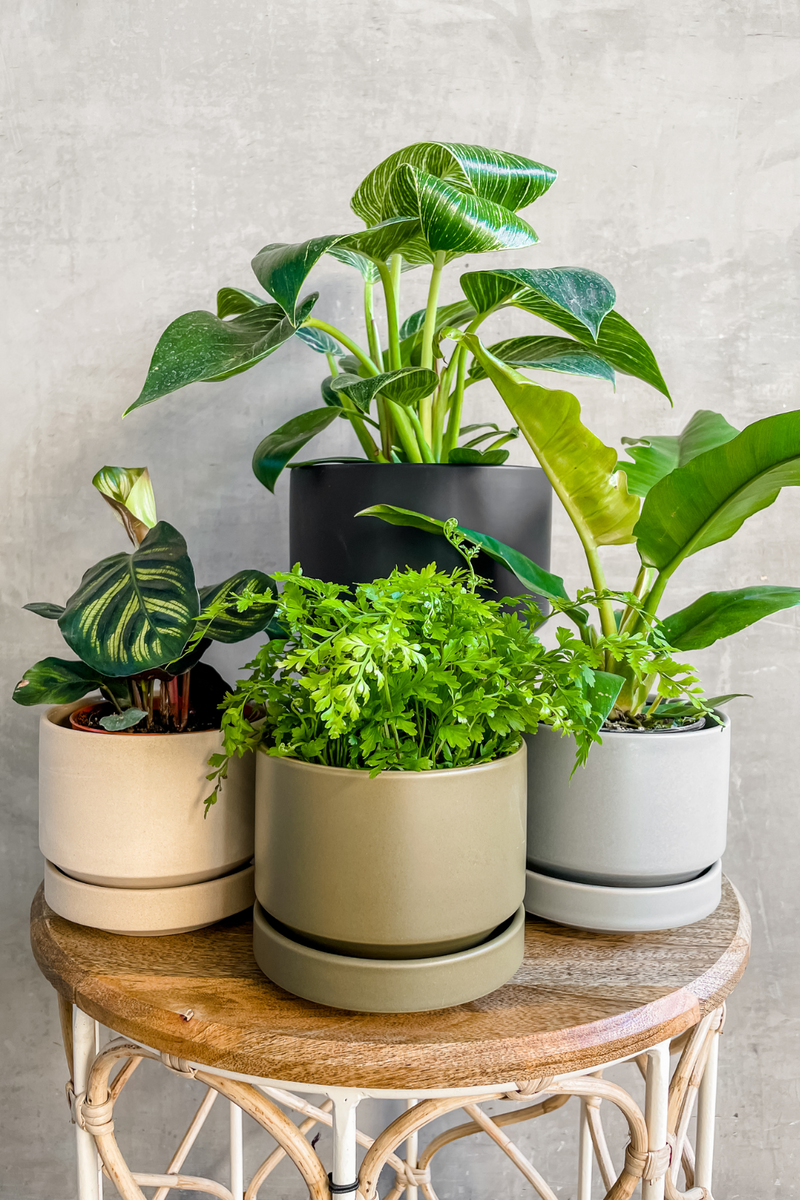 Oatmeal Round Two Planter-LBE Design-ECOVIBE
