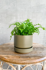 Olive Round Two Planter-LBE Design-ECOVIBE