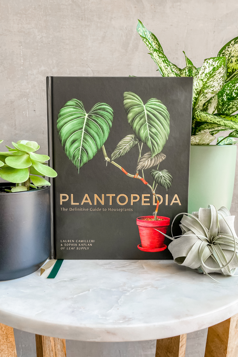 Plantopedia: The Definitive Guide to Houseplants By Sophia Kaplan and Lauren Camilleri