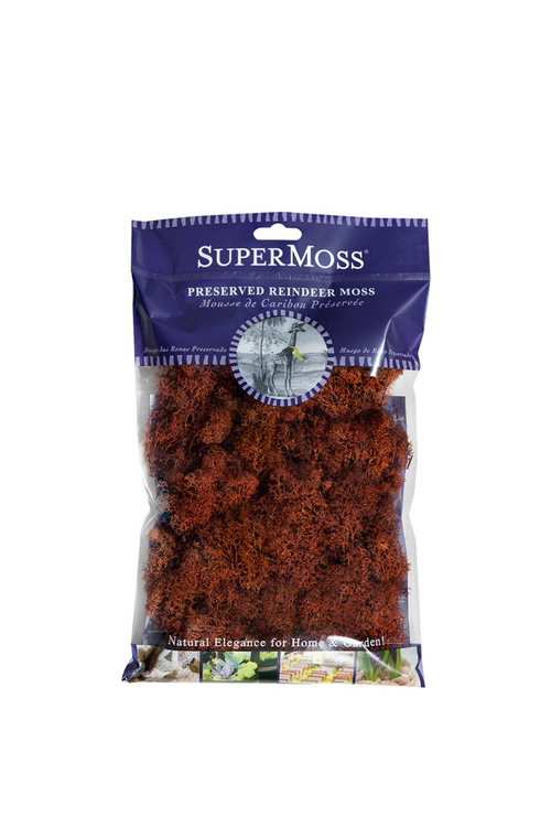 Supermoss Reindeer Moss Preserved, Rust
