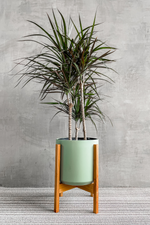 4 of 4:Kendall Pot in Sage