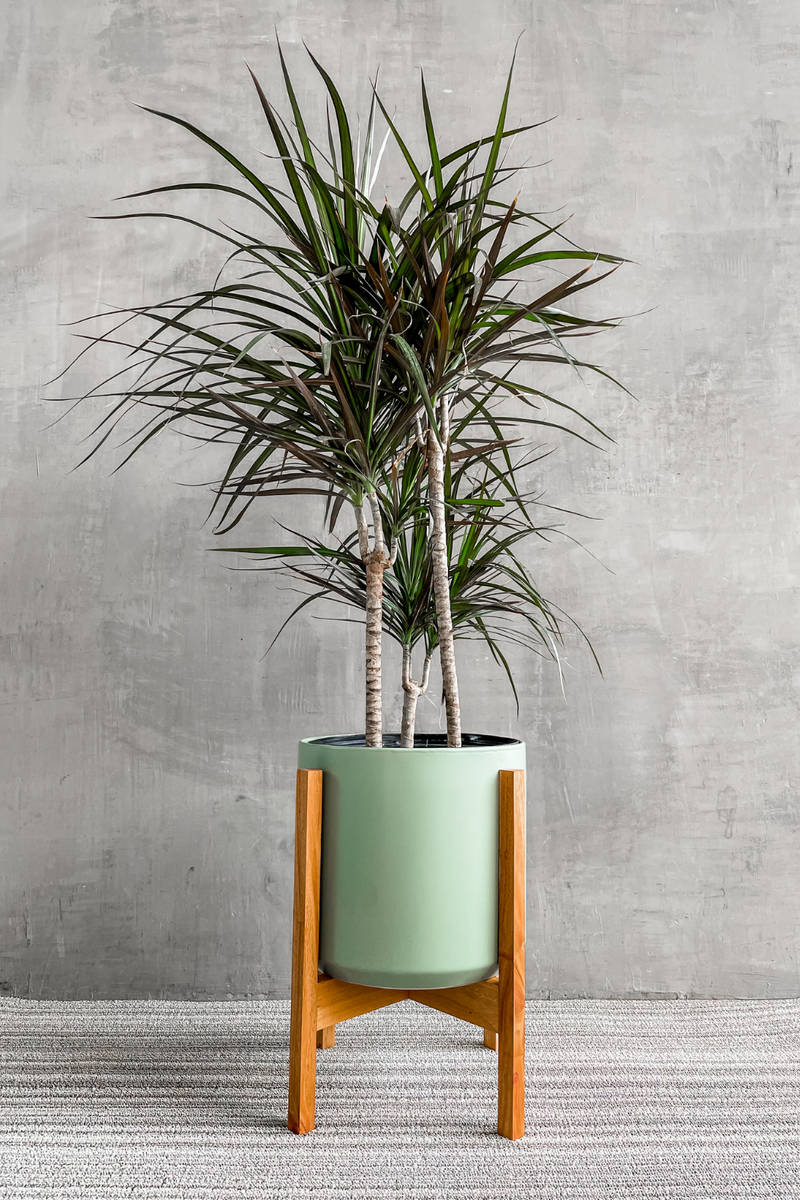 kendall plant pot Kendall Pot in Sage – ECOVIBE