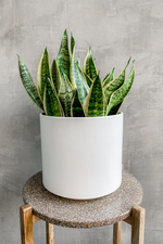 White Solid Goods Planter-LBE Design-ECOVIBE