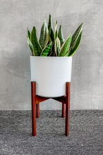 White Solid Goods Planter-LBE Design-ECOVIBE